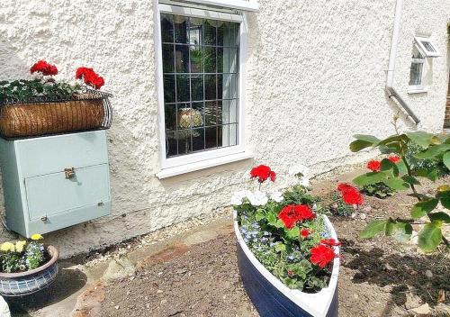 two pots of flowers in front of a window at Romantic Lakeside Cottage by the Beach! with Super Cosy Log Burner! The Perfect Escape to Your Home from Home by the Sea! So Relaxing - You Won't want to Leave! Pet Friendly! in Mablethorpe