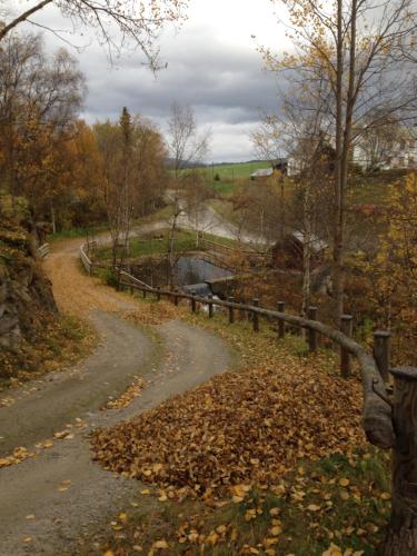 a road covered in leaves next to a fence at Ivaregga Vinterstua in Tolga