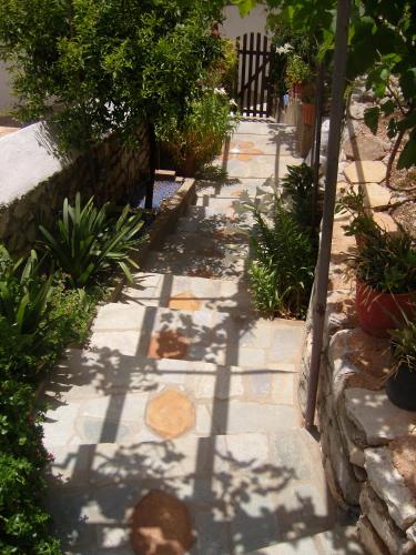 a stone walkway with a shadow of a tree at Sunset Studio in Hydra