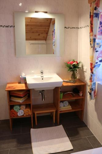 a bathroom with a sink and a mirror at Ferienhaus am Mühlbach in Gams bei Hieflau