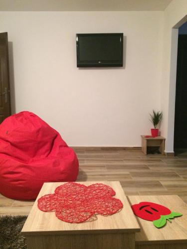 Apartments Popovicにあるテレビまたはエンターテインメントセンター