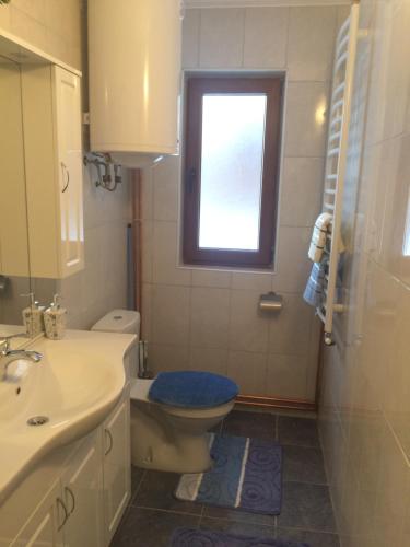 Vonios kambarys apgyvendinimo įstaigoje Apartments Popovic