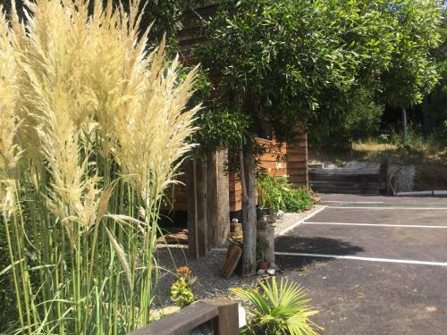 a garden with tall grass next to a parking lot at Cabaña del Bosque in Pichilemu