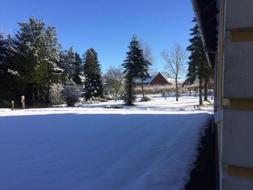 a snow covered street with trees and a house at Smidstrupvej 3 - The Lodge in Gadbjerg