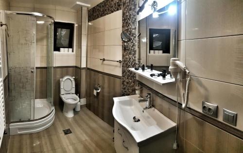 un baño con lavabo e inodoro en Casa Arini Bellevue, en Vatra Dornei