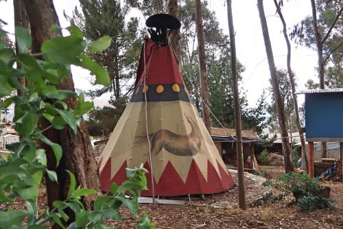 The Lazy Dog Inn a Mountain Lodgeにある庭
