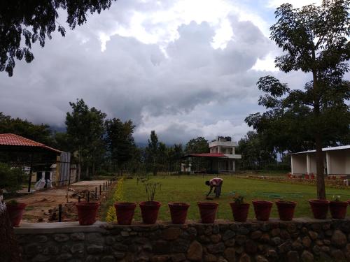 a person bending over in a field with plants at Singaras Coffee Country in Masinagudi