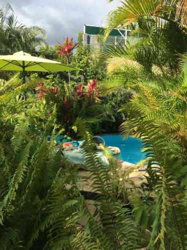 a swimming pool with palm trees and an umbrella at Le Chalet dAZAE in La Rivière