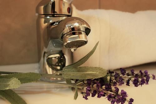 un rubinetto d'acqua con un mazzo di fiori viola di Hotel Martin a Međugorje
