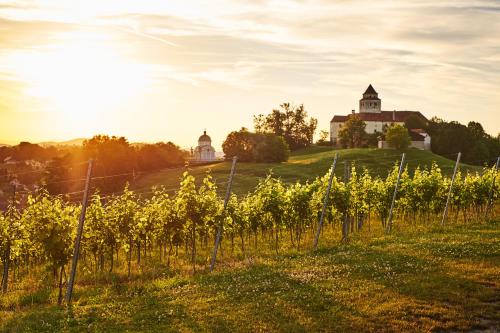 a field of vines with a house in the background at LOISIUM Wine & Spa Hotel Südsteiermark in Ehrenhausen