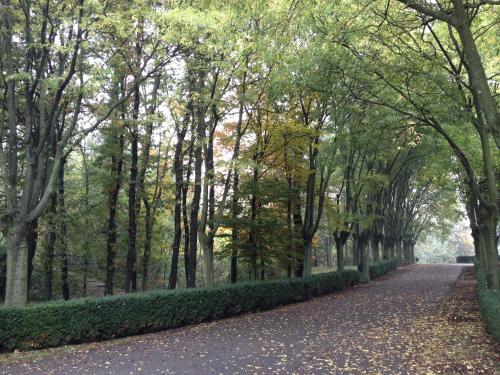 a path in a park with trees and leaves on the ground at Casa Cuniolo Guest House in Tortona