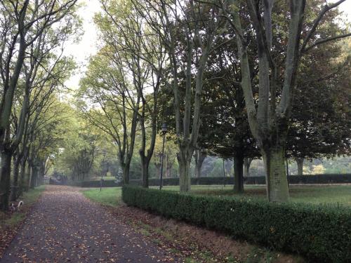 a path in a park with trees and leaves on the ground at Casa Cuniolo Guest House in Tortona
