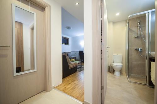 un bagno con WC e cabina doccia di Astra Apartment a Zlatibor