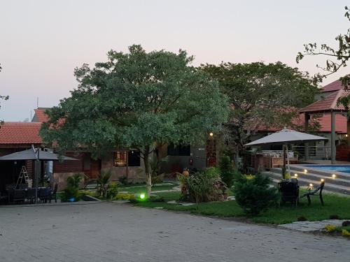 a house with a courtyard with a tree and umbrellas at Ossanzaia Bilene Lodge in Vila Praia Do Bilene