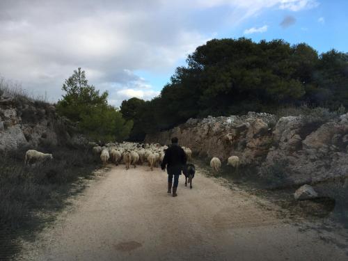 Επισκέπτες που μένουν στο Le Capase Resort Salento