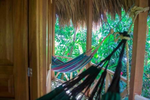 a hammock in a room with a window at Posadas Ecoturisticas Seineken in El Zaino