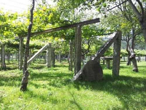 a wooden structure in a field with trees at Os Areeiros Turismo Rural & Bodega in Santa Cristina de Cobres