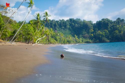 a person swimming in the water on a beach at Casa Drake Lodge in Drake