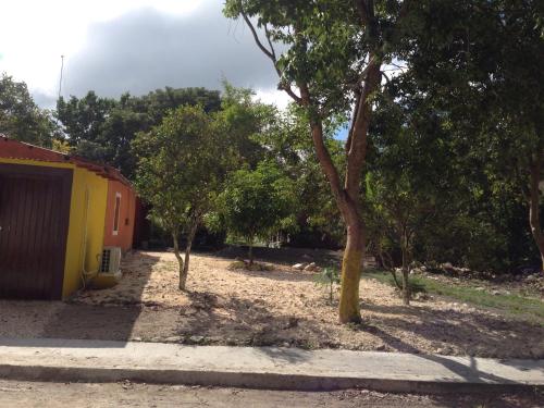 Fotografie z fotogalerie ubytování Cabanas chaac calakmul v destinaci Xpujil