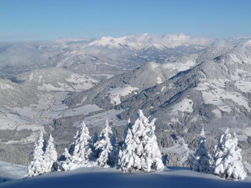 a view of a snowy mountain range with snow covered trees at Appartement Schilcher in Oberau