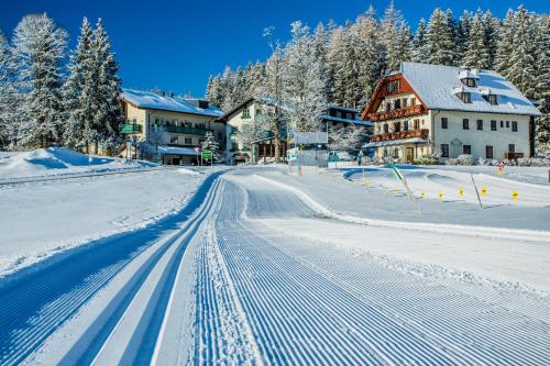 a street covered in snow with houses and trees at Hotel Annelies in Ramsau am Dachstein