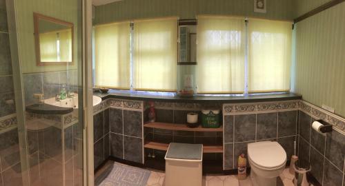 a bathroom with a shower and a toilet and a sink at Chaseborough farm in Wimborne Minster