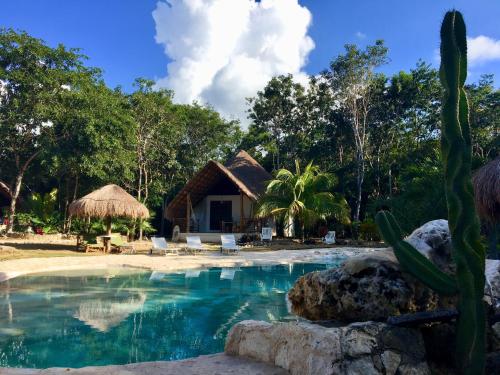 
a house with a pool and trees at Villa Morena Boutique Hotel Ecoliving in Akumal
