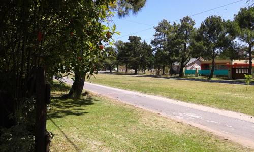 a tree on the side of a road at Casa Picoco in San Bernardo