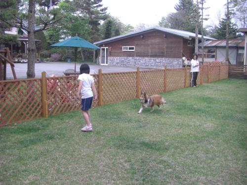 a girl and a dog in a yard at Pension Eden in Naganohara