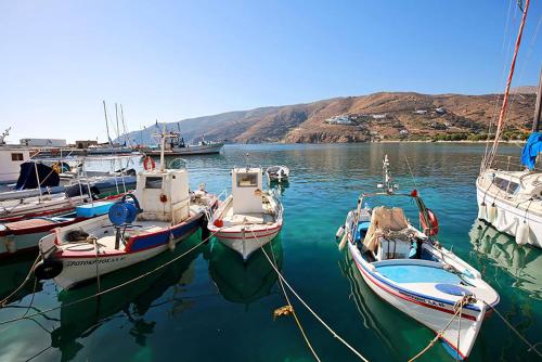a group of boats are docked in a harbor at Aegialis Hotel & Spa in Aegiali