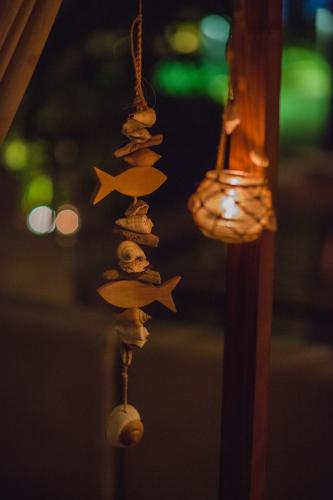 a group of shells and stars on a string at Napa Plaza Hotel (Adults Only) in Ayia Napa