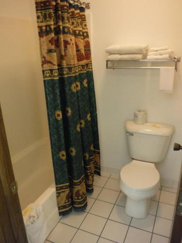 a bathroom with a toilet and a shower curtain at Caravan Motel in Cannon Falls