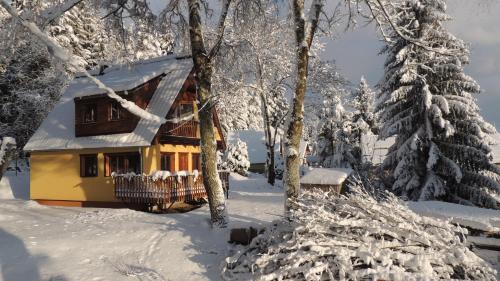 a cabin in a snowy forest with snow covered trees at Chata Sandra in Lipno nad Vltavou