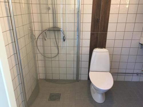 uma casa de banho com um WC e um chuveiro em Fjällstuga em Idre