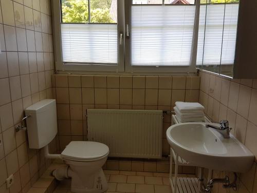 uma casa de banho com um WC e um lavatório em Fritzlar Ederauen em Fritzlar