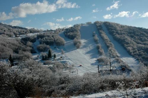 a snow covered hill with trees and a ski slope at Kétkerék Vendégház - a mátrai szállás in Matraszentlaszlo