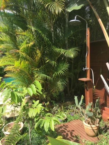 a garden with a bunch of plants and a wooden deck at Le Chalet dAZAE in La Rivière