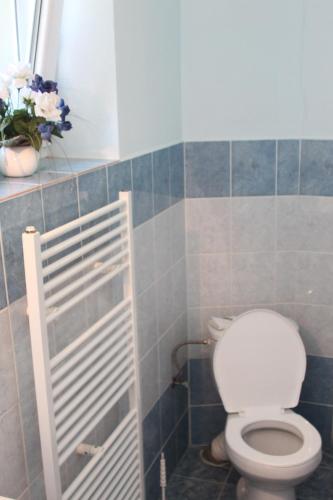 a bathroom with a toilet and a plant on a shelf at Pension Motel Anna in Lenora