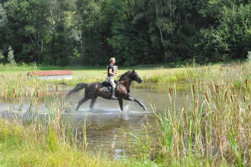 a person riding a horse through a body of water at Gut Drasing in Krumpendorf am Wörthersee