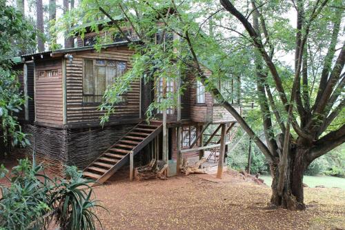 a tree house with a staircase leading up to it at Treks, Trips and Trails in Champagne Valley