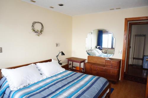a bedroom with a bed and a dresser and a mirror at Los Gualles de la Candelaria Apart Hotel in Pucón