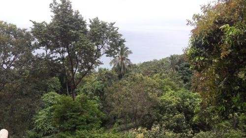 a view of the jungle from the road at Bang Son Golden View in Baan Khai