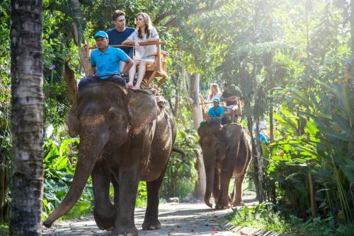 a group of people riding on the backs of elephants at AEC Hotel Ban Me in Buon Ma Thuot
