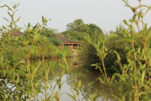 a house on the shore of a body of water at Le Lodge Dalaal Diam in Somone