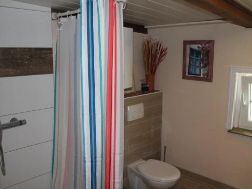 a bathroom with a toilet and a shower curtain at Quaint Holiday Home in Schwaan near the Lake in Schwaan