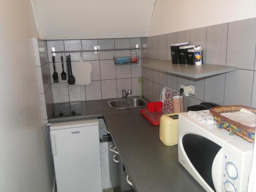 une petite cuisine avec un évier et un micro-ondes dans l'établissement Appartement NOTRE DAME, à Paris