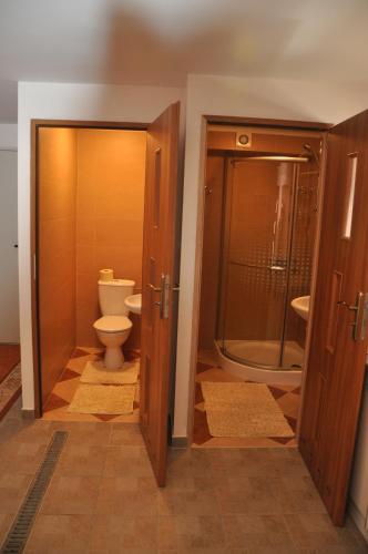ein Bad mit einem WC und einer Glasdusche in der Unterkunft Privatzimmer Bendl in Steinhaus am Semmering