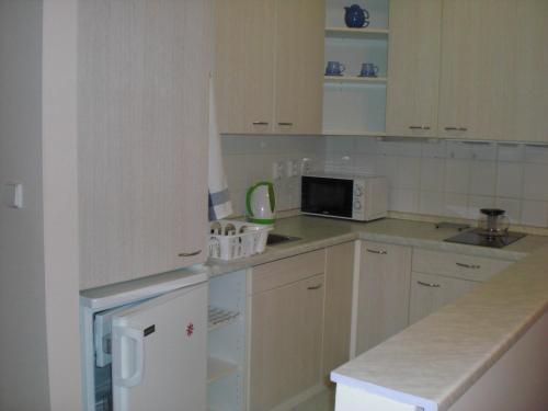 a kitchen with white cabinets and a white microwave at Apartmán pod Klínovcem in Jáchymov