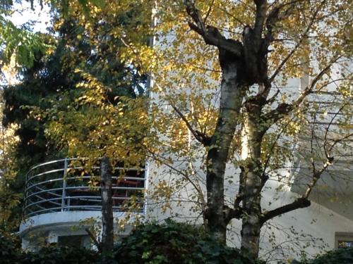 a white building with a tree in front of it at Casa Cuniolo Guest House in Tortona