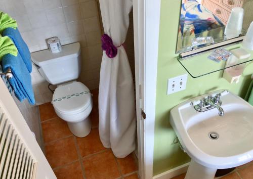 Gallery image of Caribbean House in Key West